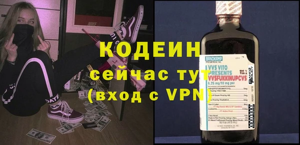 эйфоретик Арсеньев