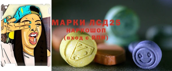 гидра Аркадак