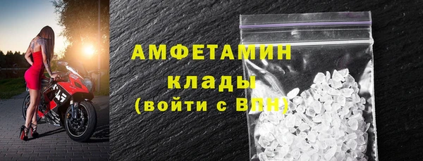 гидра Аркадак