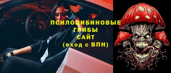 гидра Аркадак