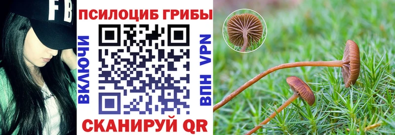 Галлюциногенные грибы мухоморы  гидра сайт  сайты даркнета как зайти  Байкальск 